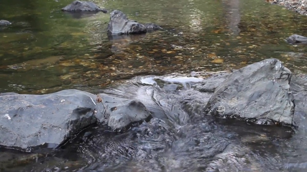 河水小溪石头视频素材