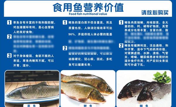食用鱼营养价值图片
