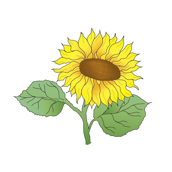 向日葵手绘向日葵花可商用元素