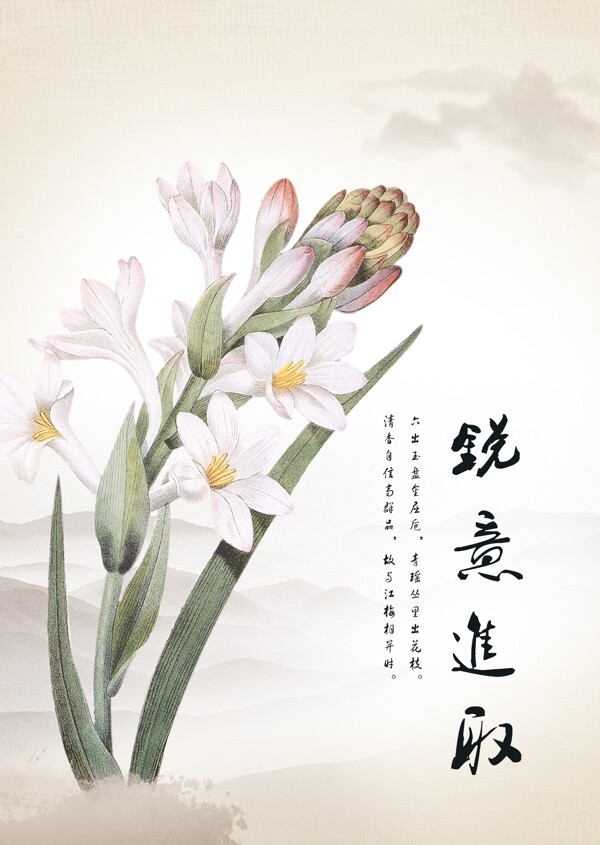 企业文化水仙花图片