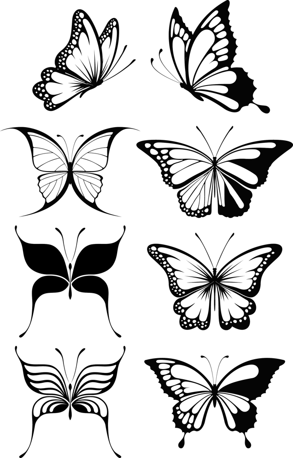 黑白蝴蝶图案矢量图