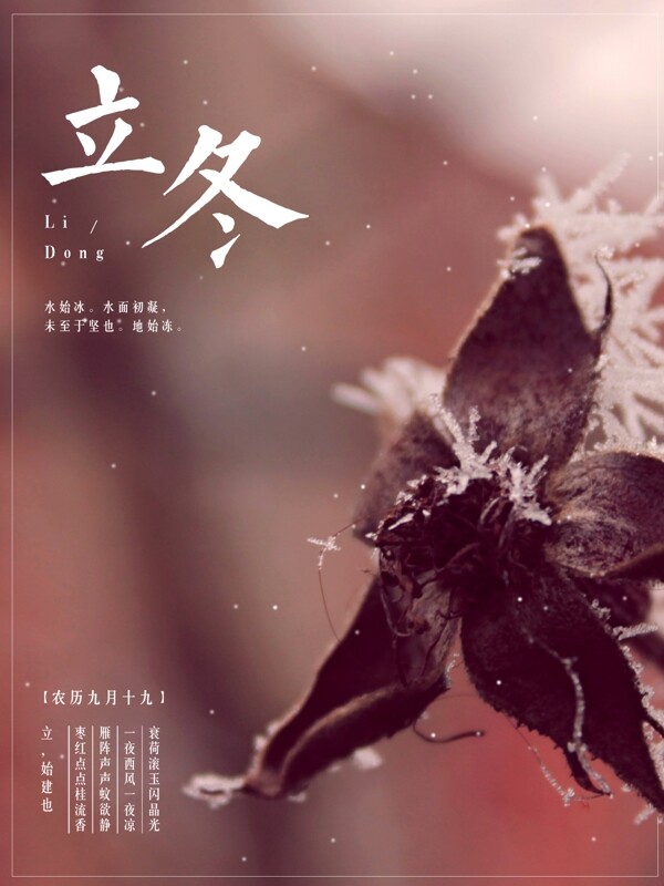 文艺唯美中国风立冬宣传海报