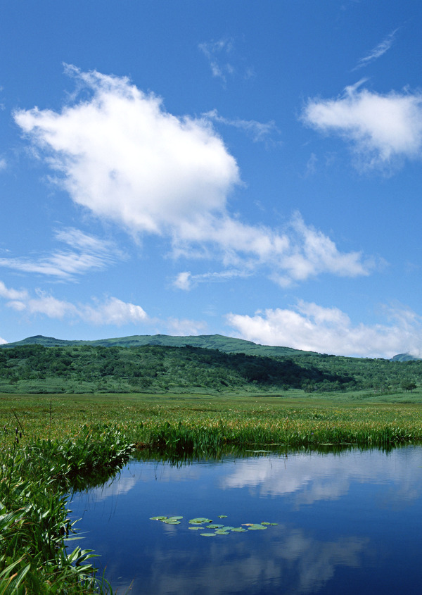 青山绿水