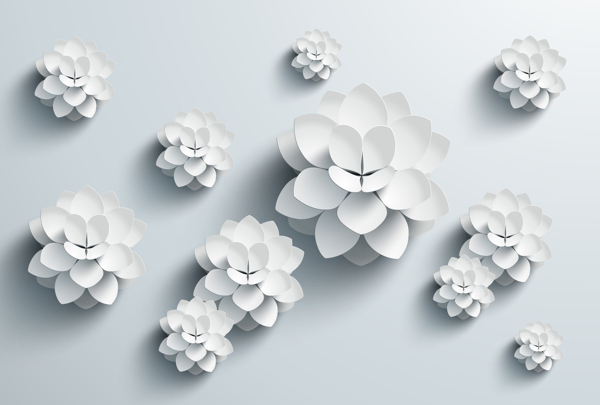 3D立体白色花卉电视背景墙