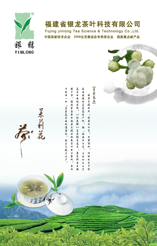 茉莉花茶海报