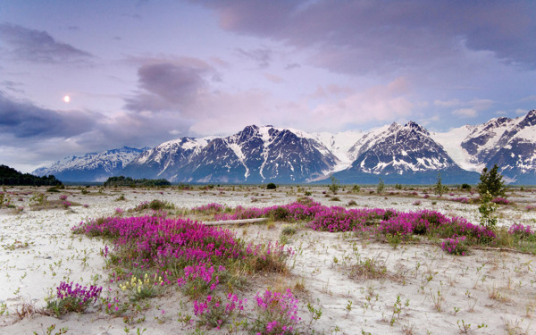 美国阿拉斯加美丽的湖光山色风景