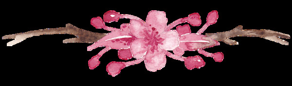 水彩手绘桃花树枝png透明素材