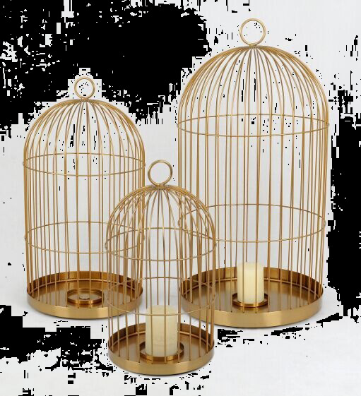 文艺高级金色鸟笼装饰元素