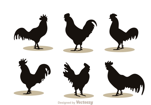 公鸡设计图