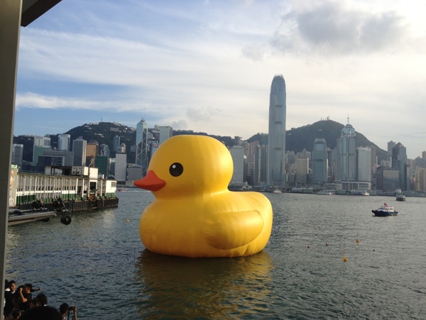 香港维港大黄鸭图片