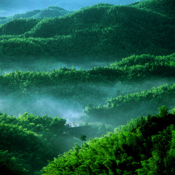 绿色山景