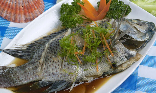 清蒸福寿鱼图片
