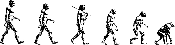 人类进化图图片