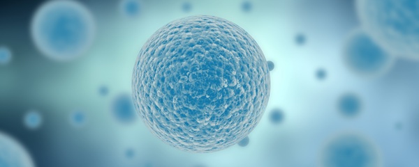 细胞图癌症细胞免疫细胞