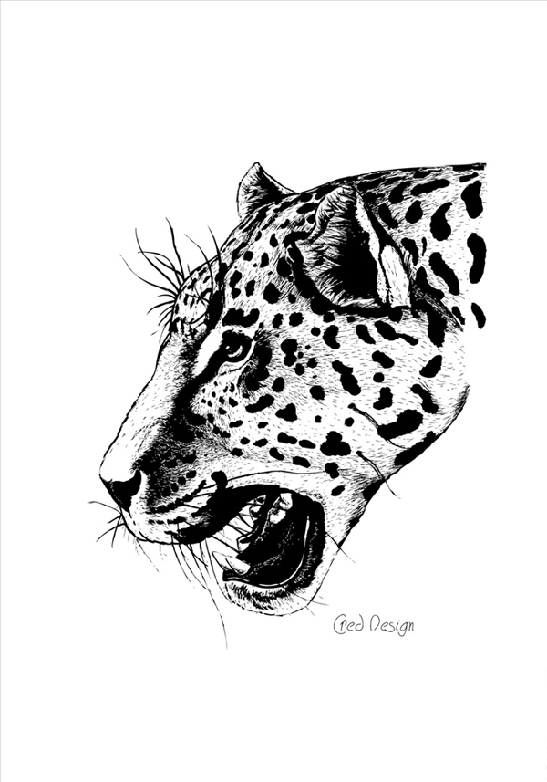 手绘写实豹子头图案矢量