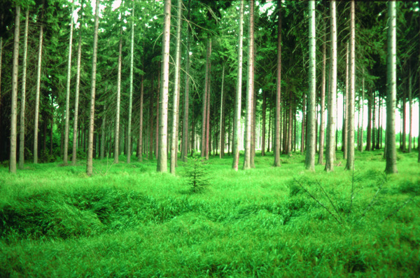 山水风景田园风景