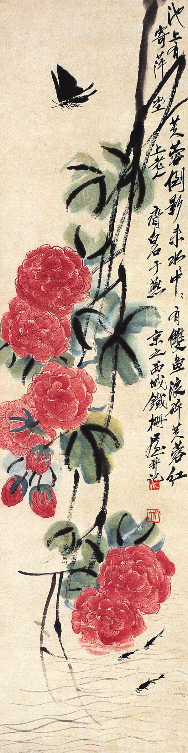 芙蓉戏水图片