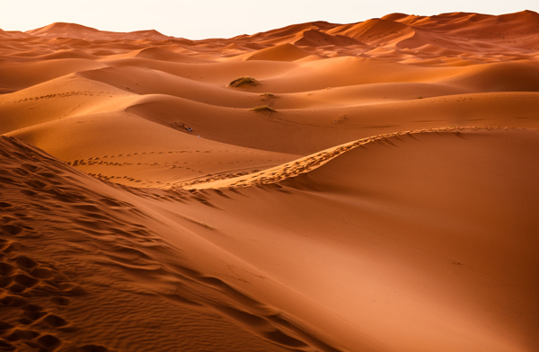 沙漠沙沙滩沙子沙地