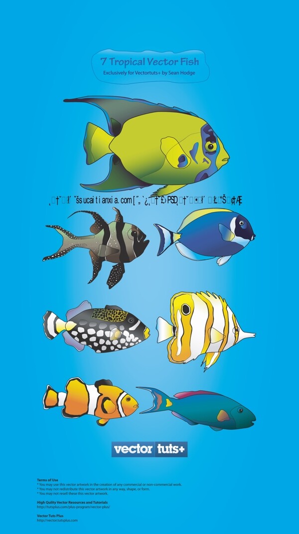 七种热带海洋鱼类矢量素材