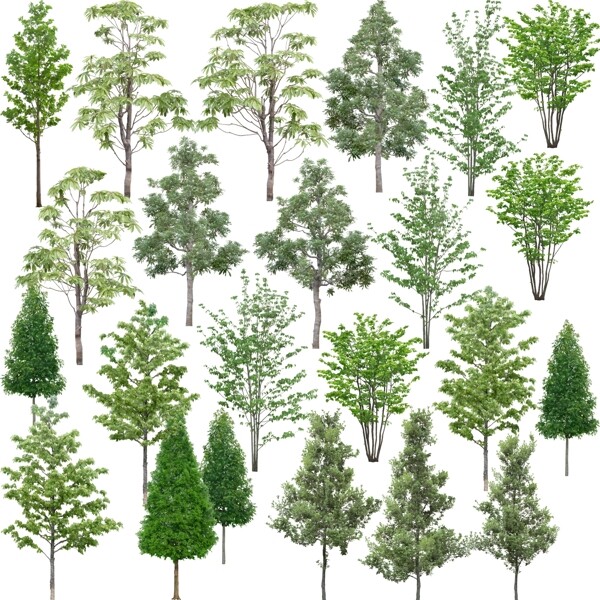 树木植物分层素材PSD图片