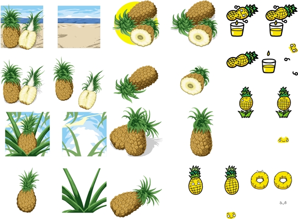 菠萝合集图片
