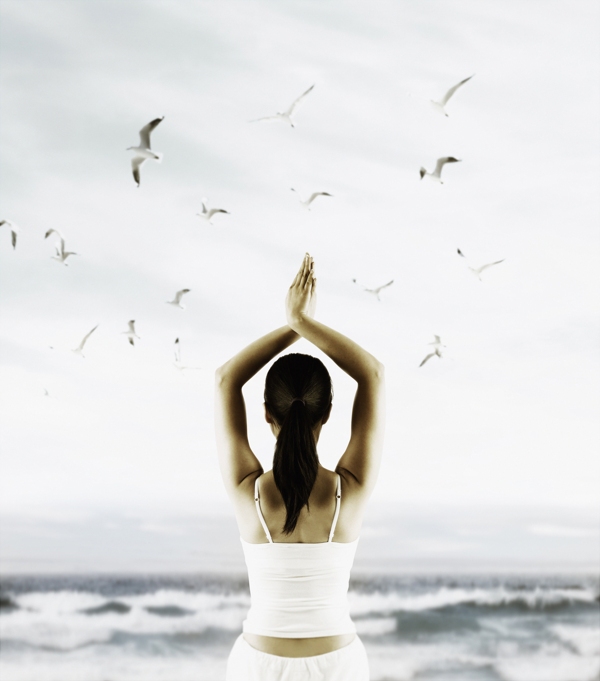 瑜伽有氧运动运动海边海滩海鸟女性女人瑜伽运动海报广告图片