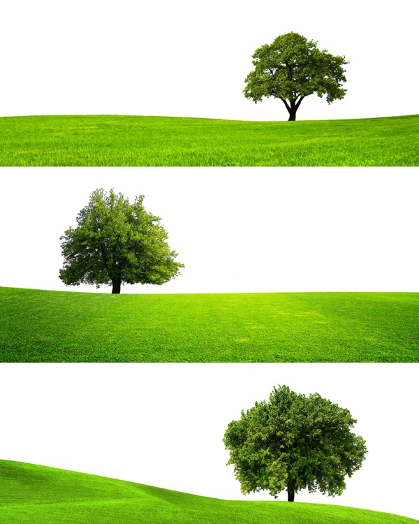 各种角度不同的树