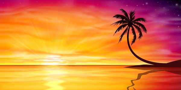 椰子树沙滩景色图片
