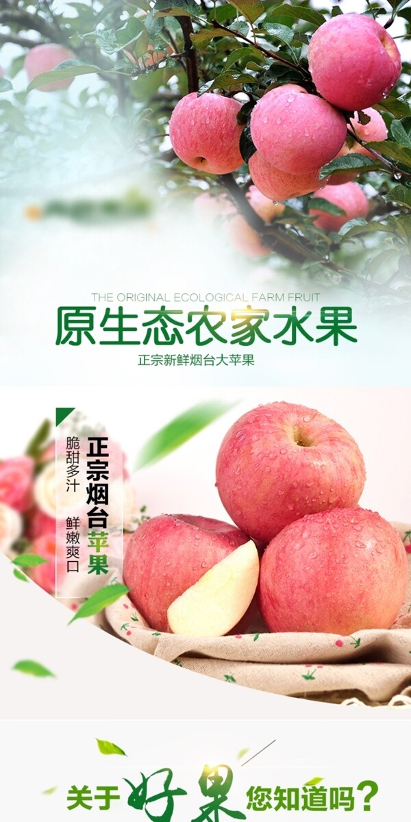 苹果水果红富士苹果详情页