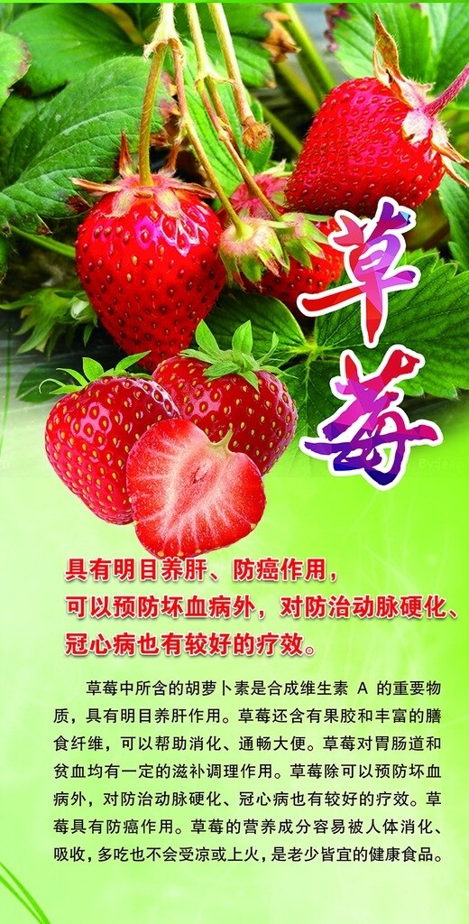 草莓水果超市展板
