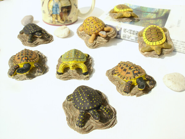 一群小海龟图片
