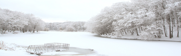 白雪皑皑海报背景