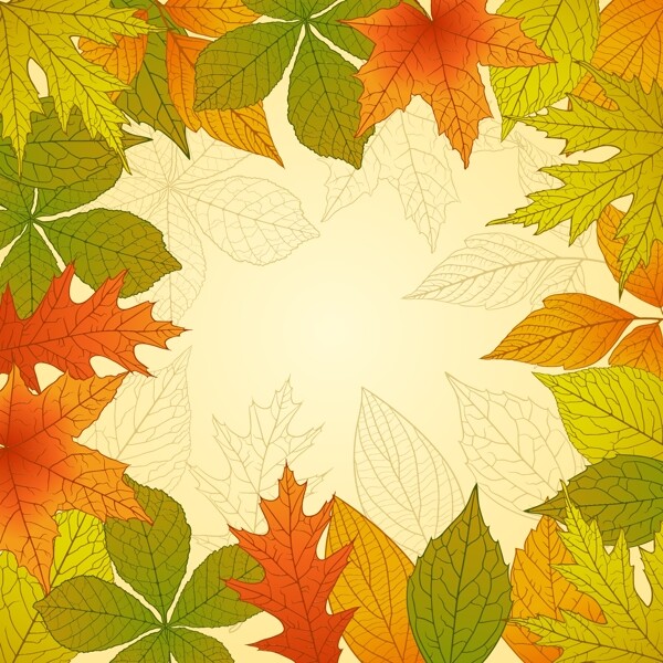 明亮的秋天的树叶矢量背景02
