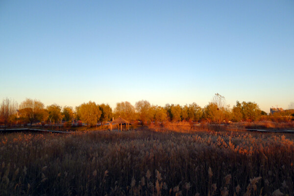 南湖湿地公园图片
