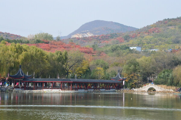 北宫彩叶风景