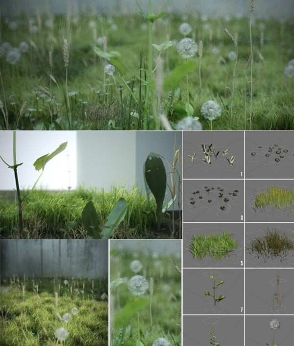 地面草木植物3D模型图片