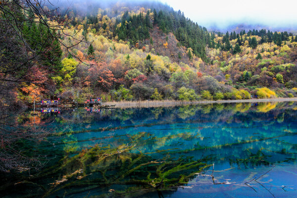 九寨沟五花海图片