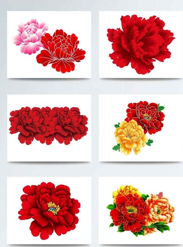 6种大红花