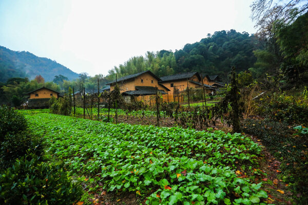 江西深山景观图片