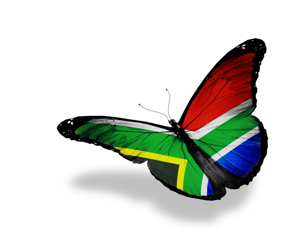 南非国旗蝴蝶