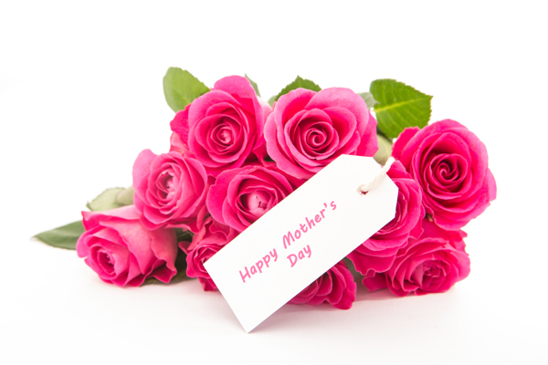 母亲节礼物美丽的玫瑰花图片
