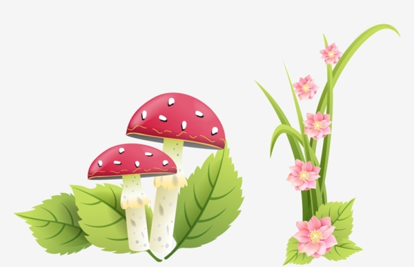 蘑菇花朵