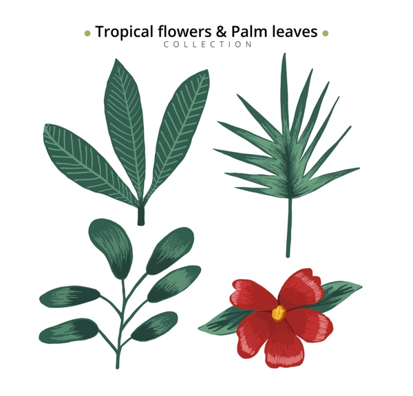手工绘制热带花卉和棕榈树