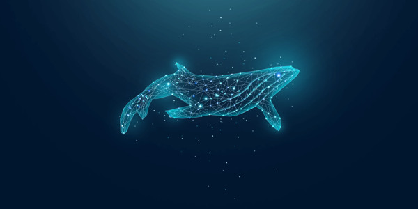 海洋鲸鱼抽象光点背景