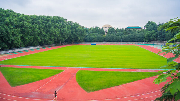 武汉大学图片