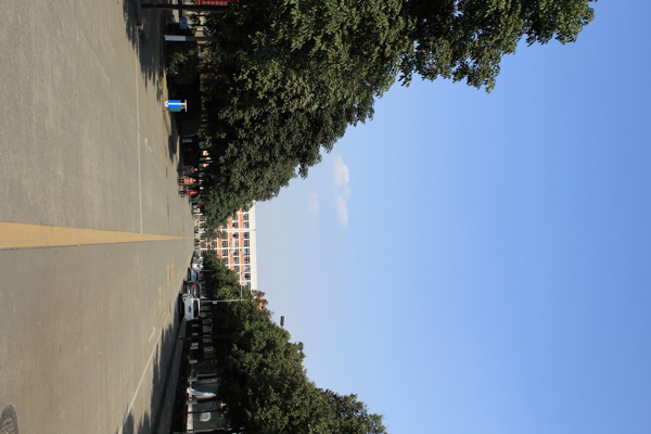 西南石油大学风景