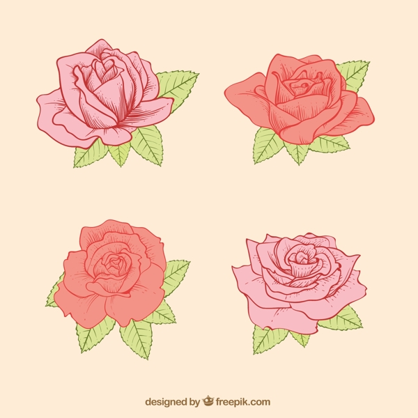 四朵玫瑰