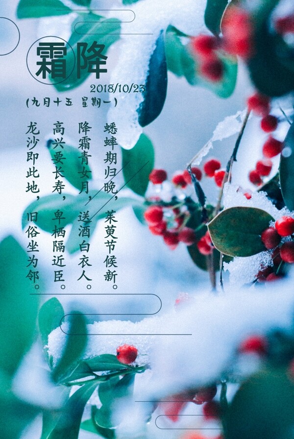 植物背景简约霜降节日海报