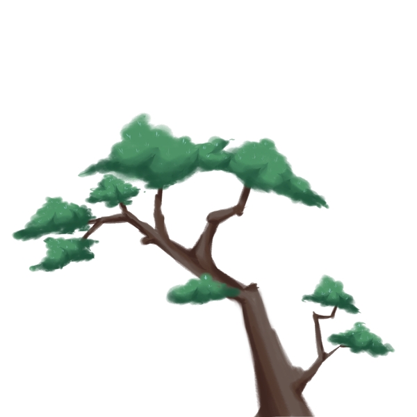 绿色的松树手绘插画