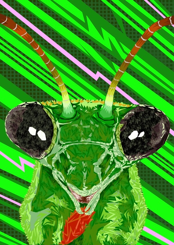 绿色螳螂简约手绘插画